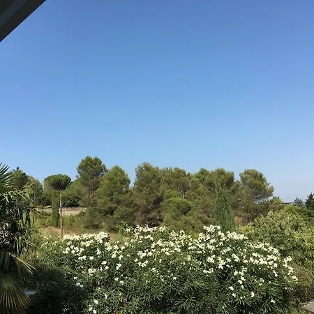 Villa Spacious Retreat In Carcassone